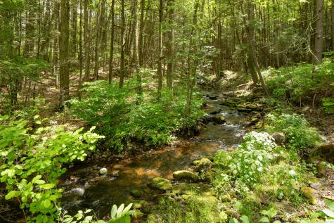 37 Lower Barrack Road Canaan CT 06031