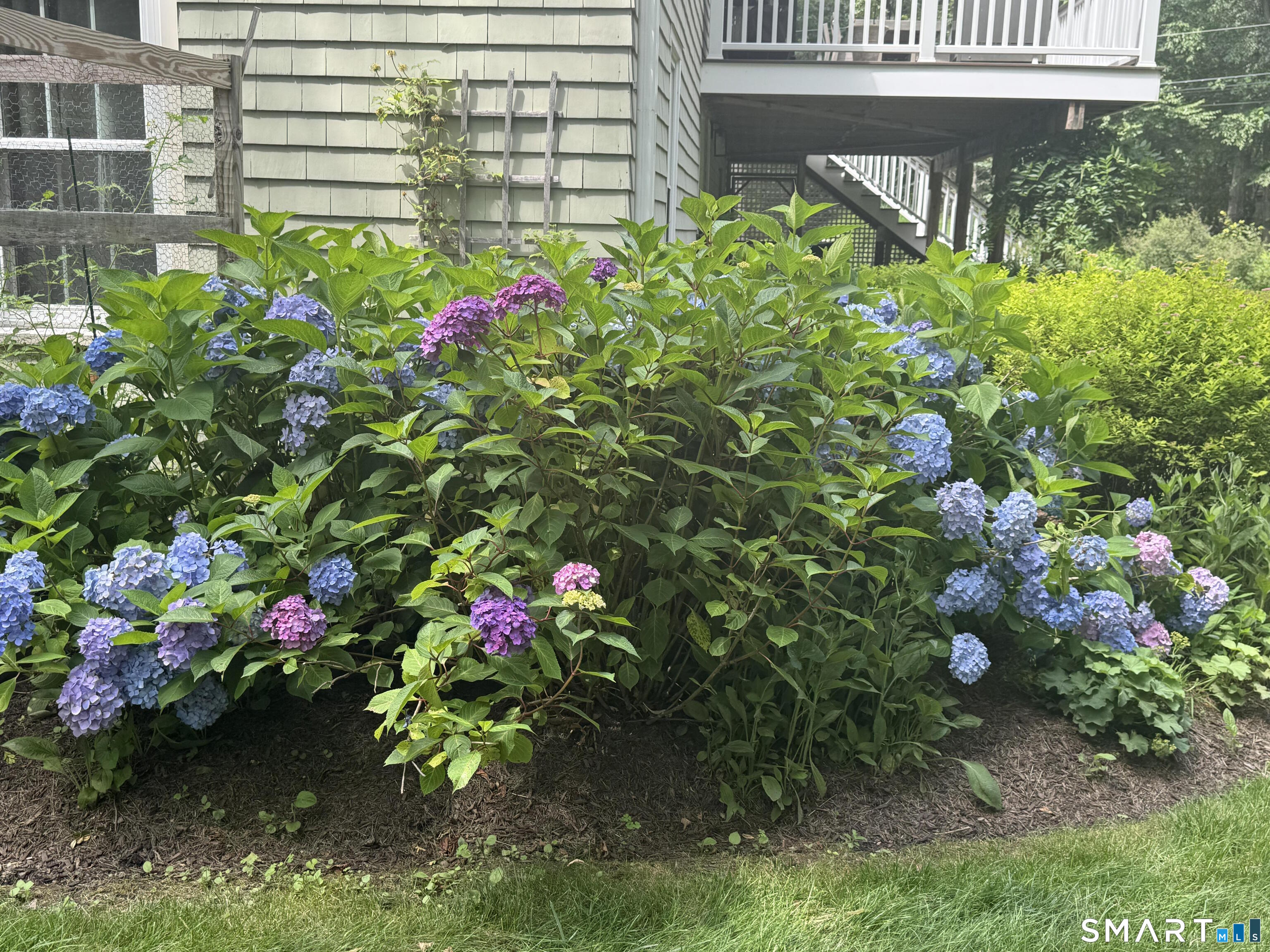 45 Ledgewood Drive Wilton CT 06897