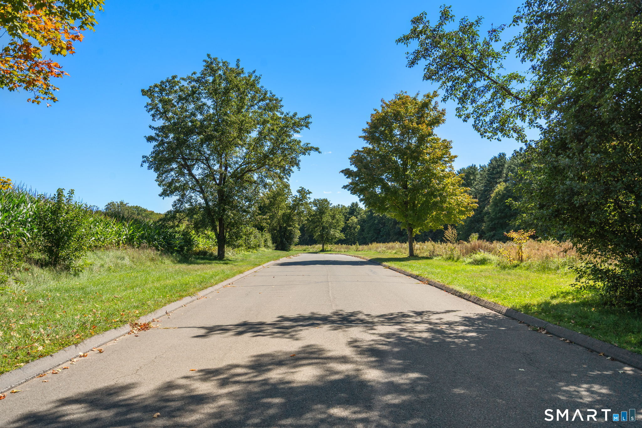55 Harmony Hill Granby CT 06035