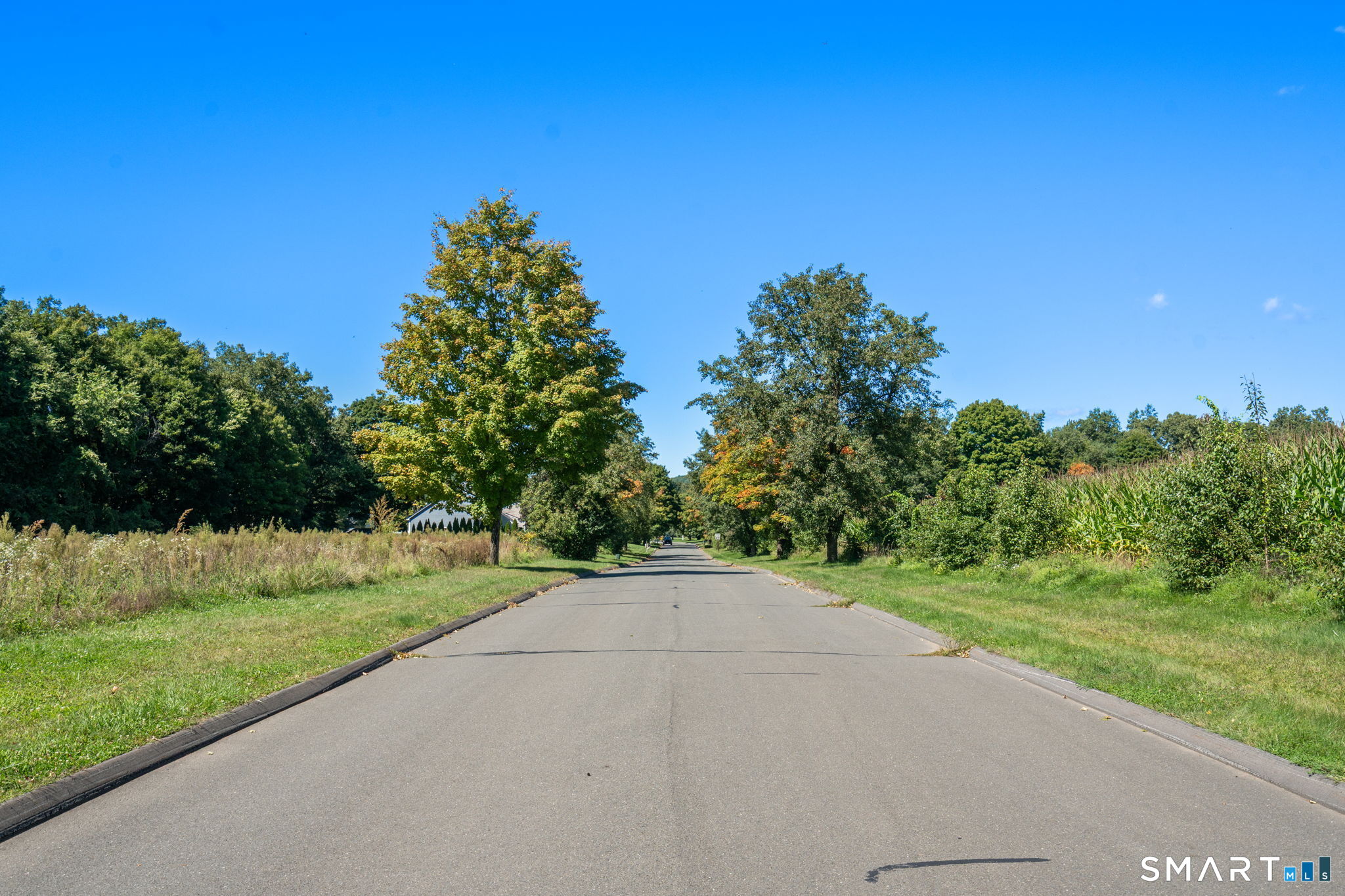55 Harmony Hill Granby CT 06035
