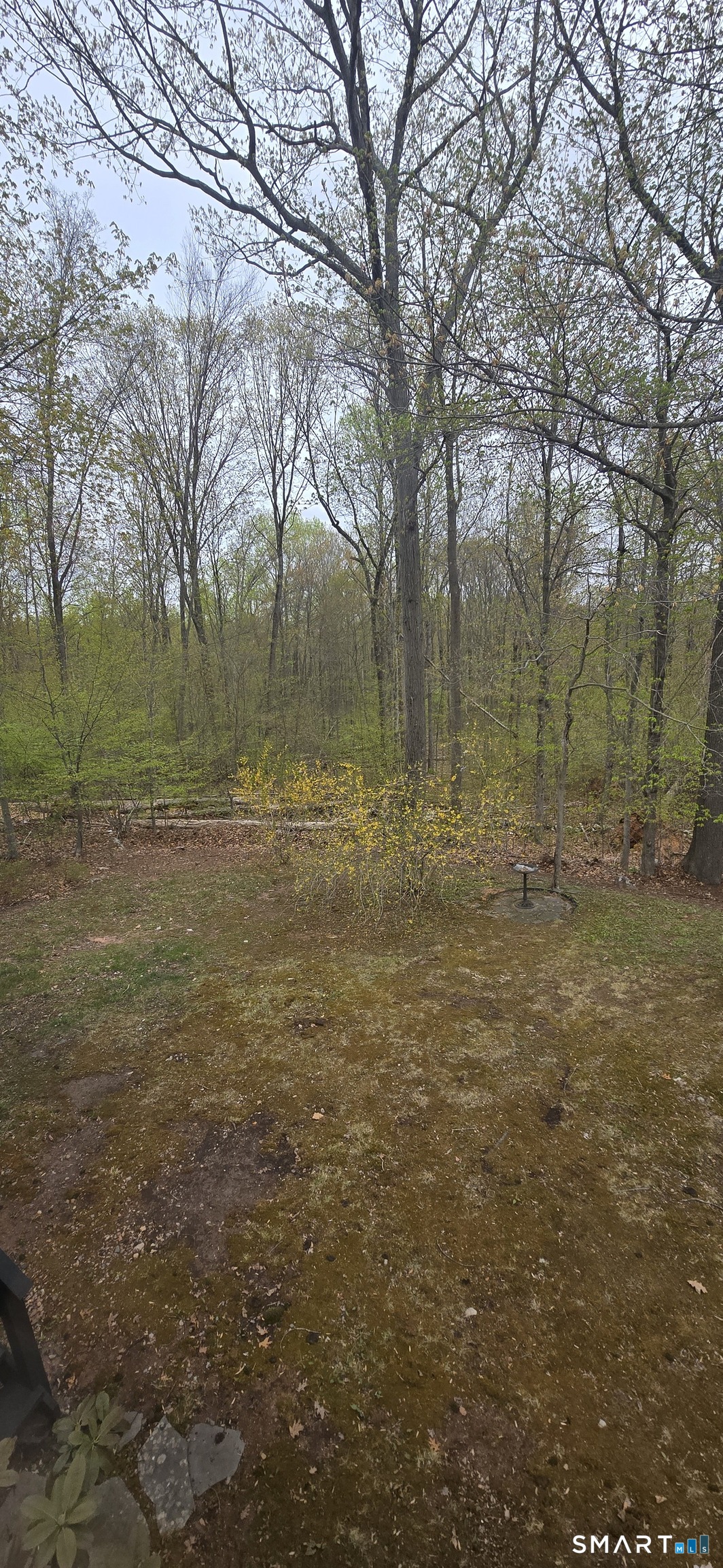 229 Russo Drive Hamden CT 06518