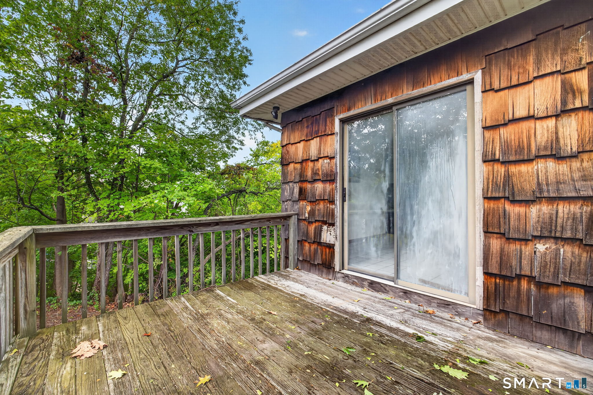 163 Cranston Street New Haven CT 06513