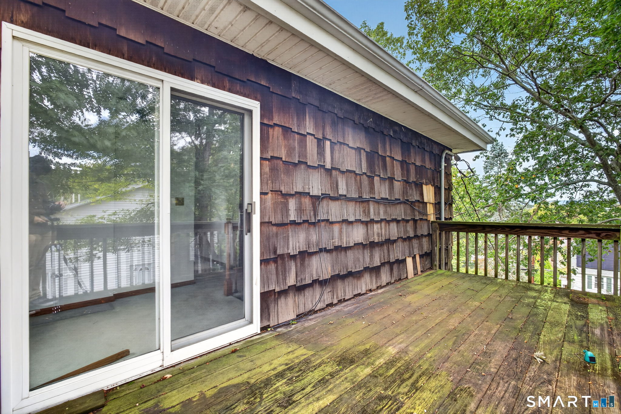 163 Cranston Street New Haven CT 06513