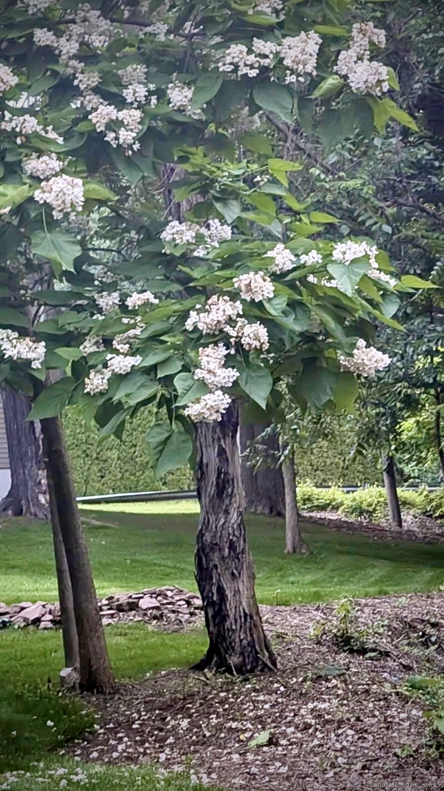 100 Hayden Station Road Windsor CT 06095