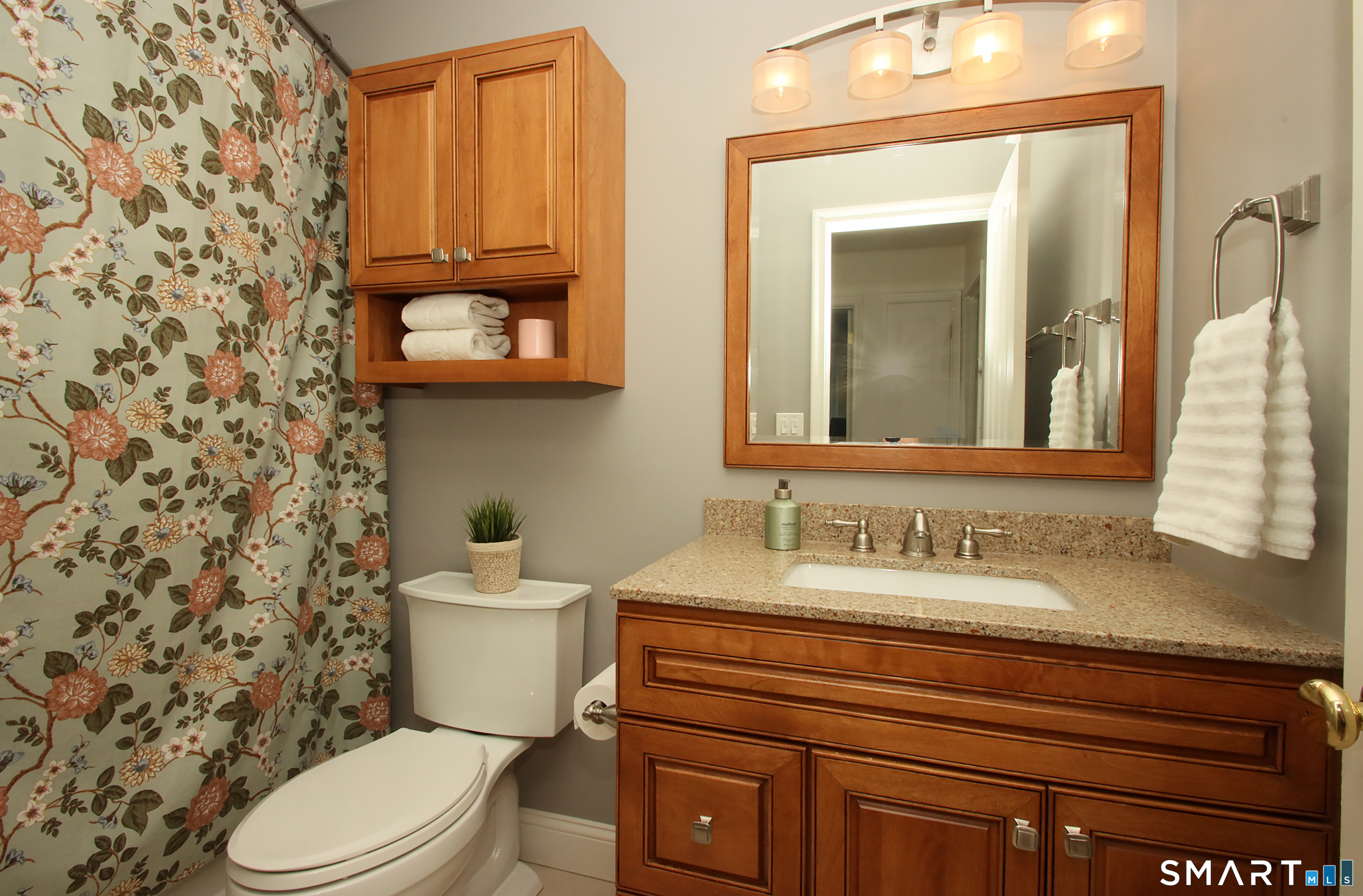10 Old Village Lane Farmington CT 06085