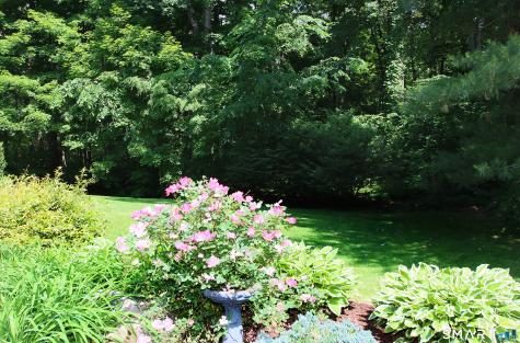 10 Old Village Lane Farmington CT 06085