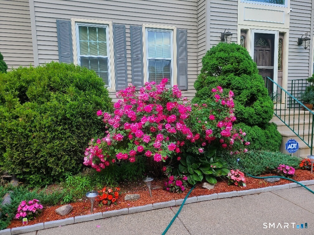 34 Nathan Hale Court Cheshire CT 06410