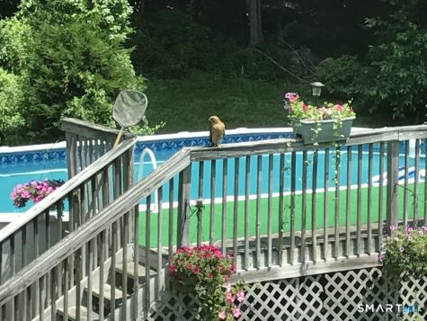 34 Nathan Hale Court Cheshire CT 06410