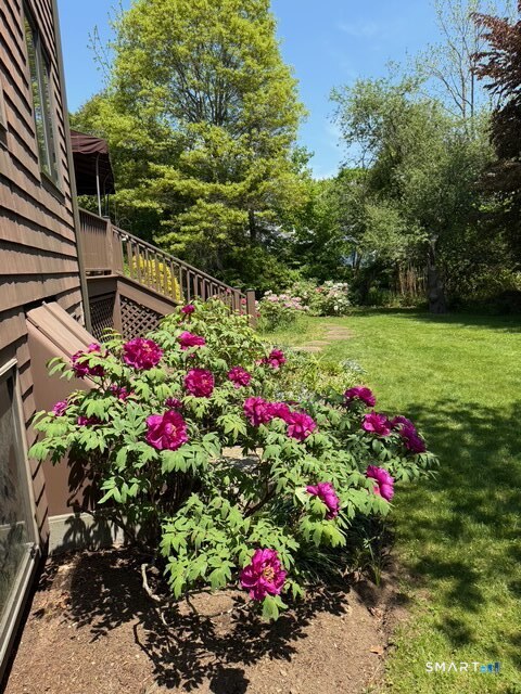 8 Ivy Road Stonington CT 06355
