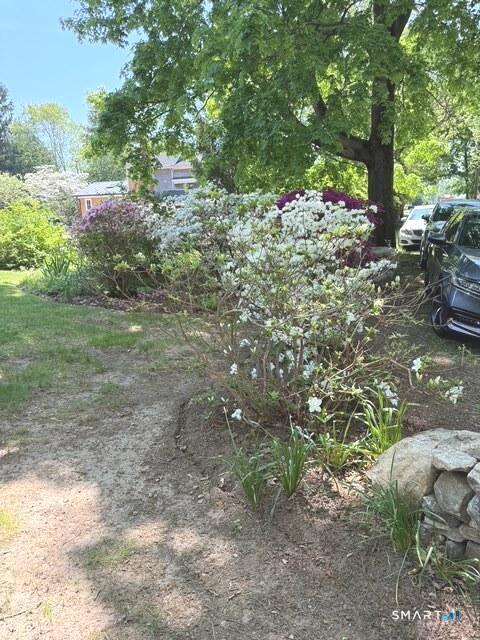 8 Ivy Road Stonington CT 06355