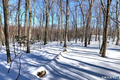 239 Cedar Ridge Drive Glastonbury CT 06033