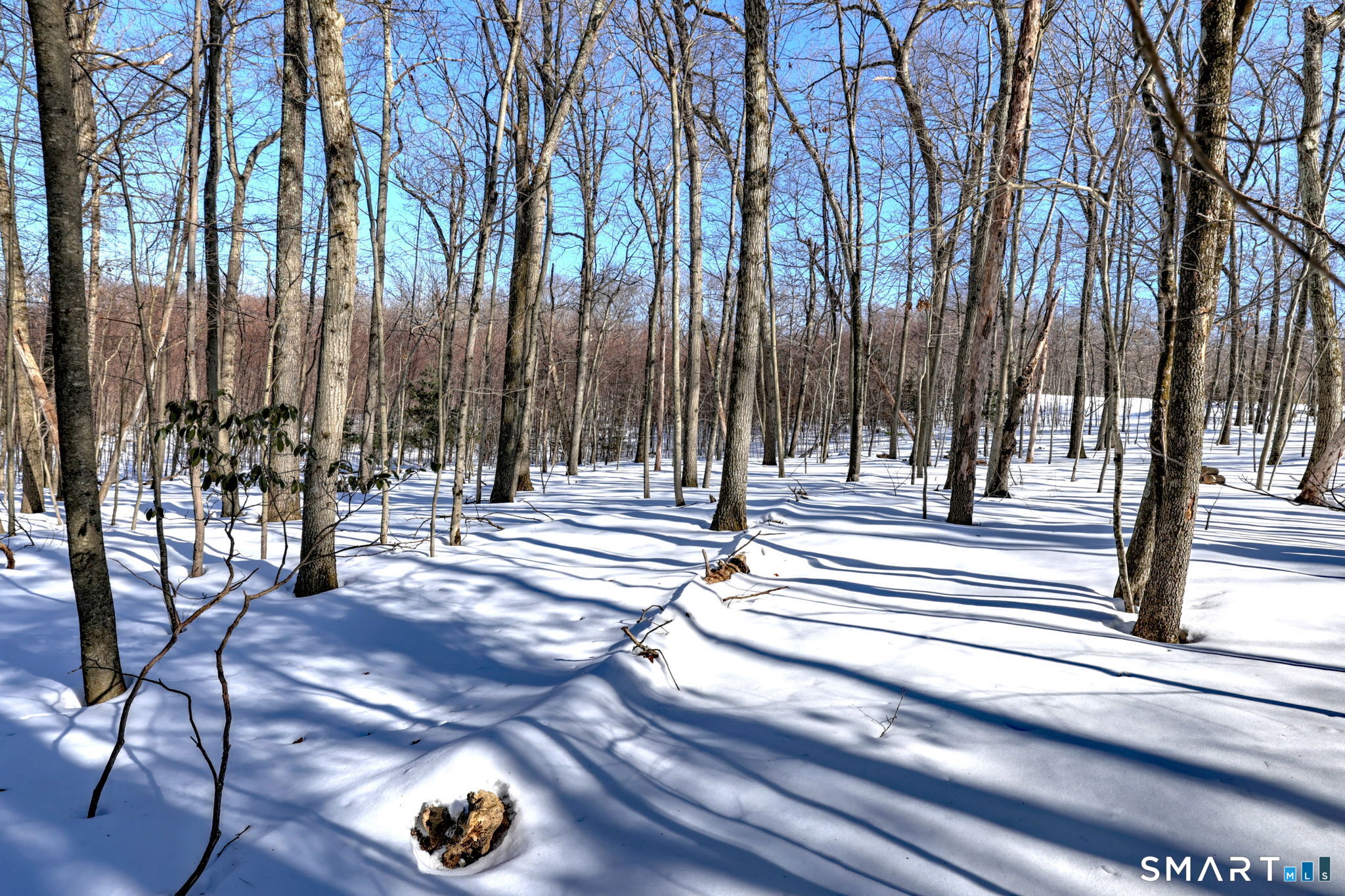 239 Cedar Ridge Drive Glastonbury CT 06033