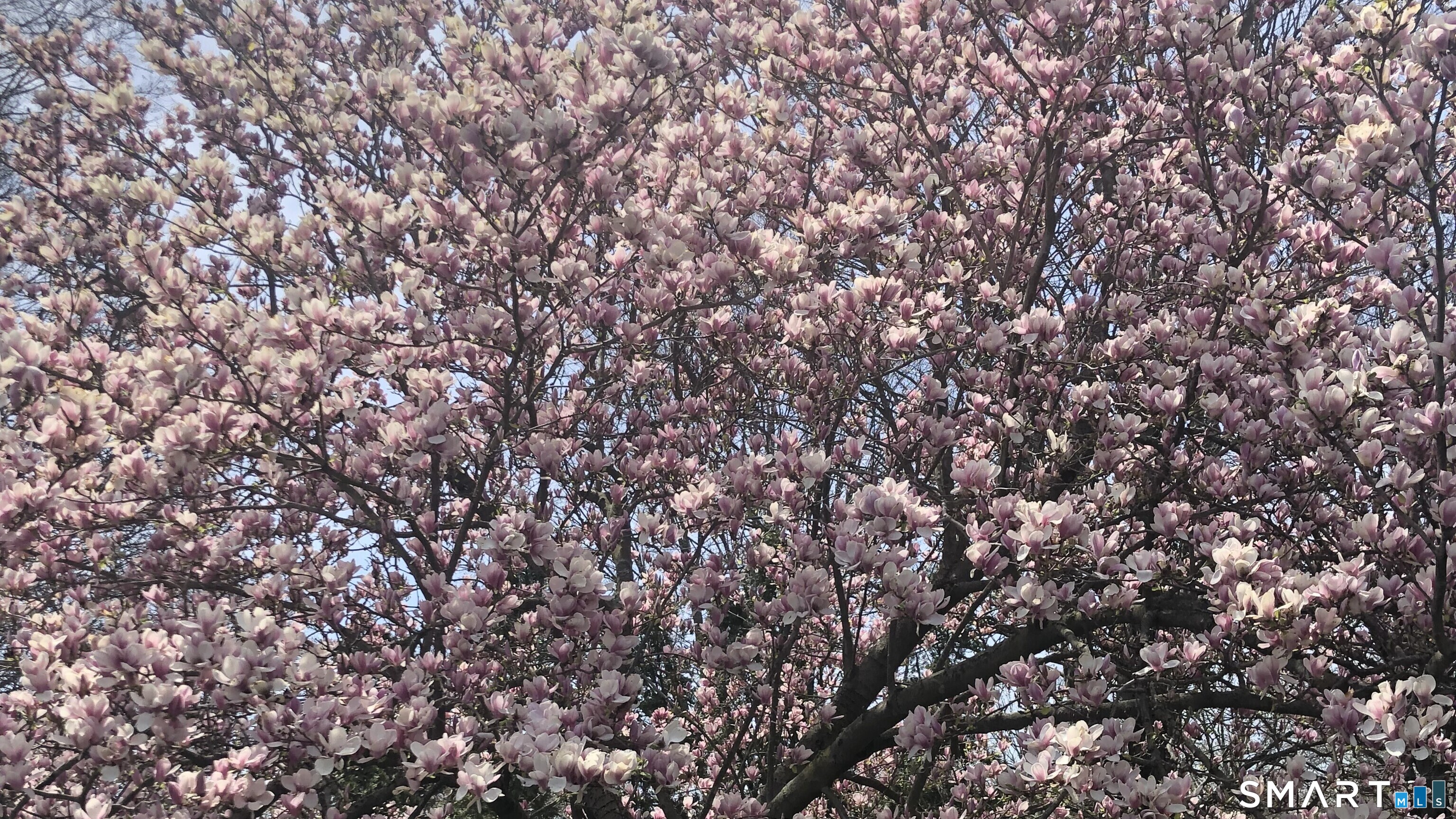 248 Soundview Avenue Shelton CT 06484