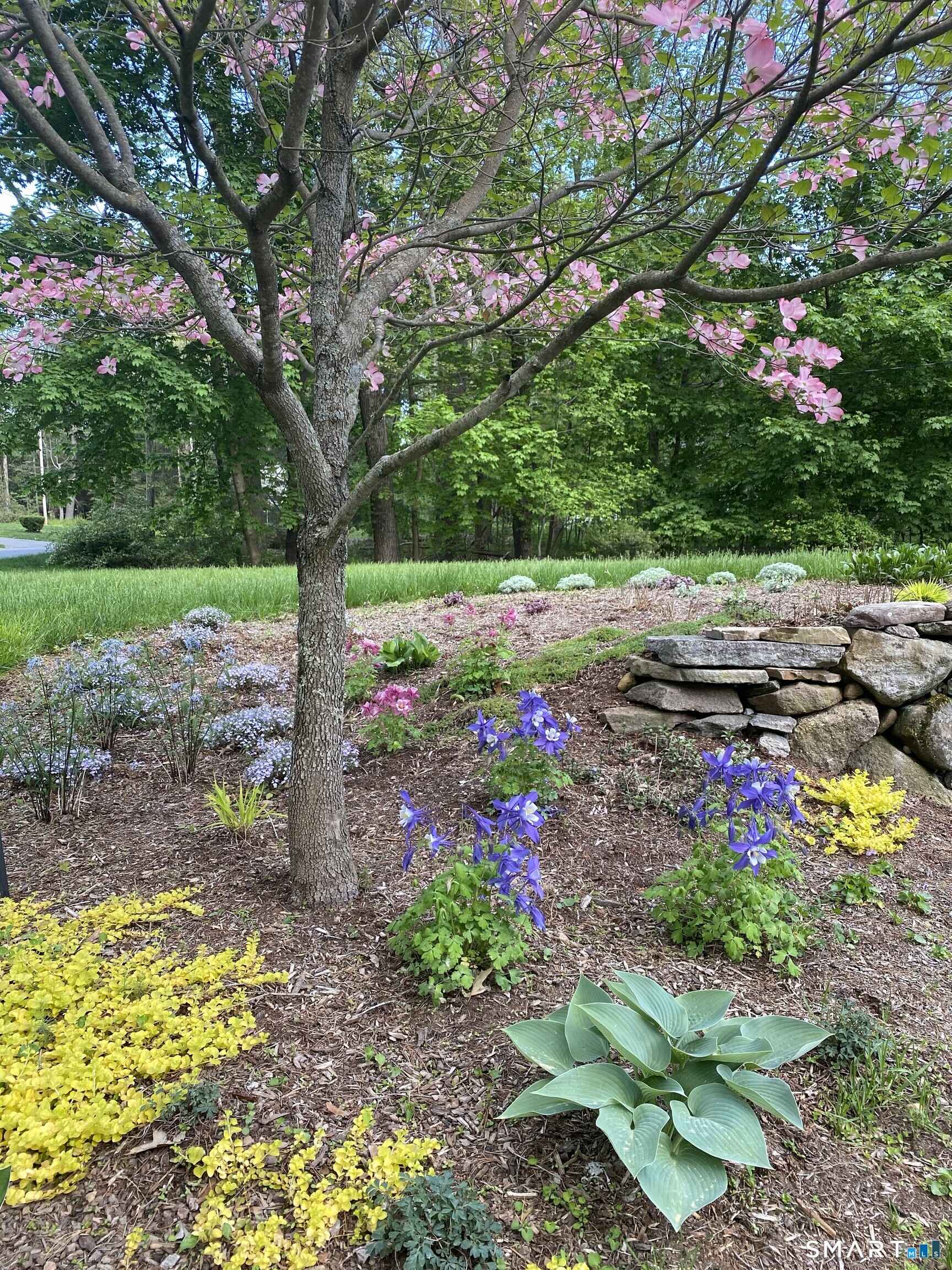 6 David Drive Simsbury CT 06070