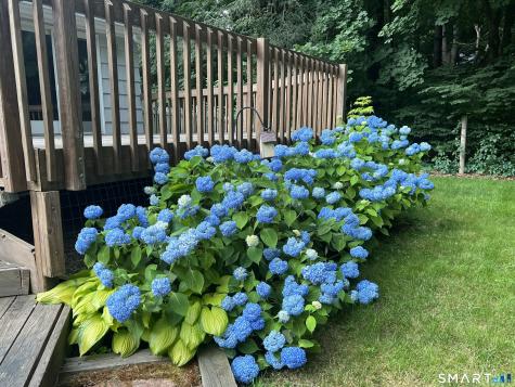 6 David Drive Simsbury CT 06070