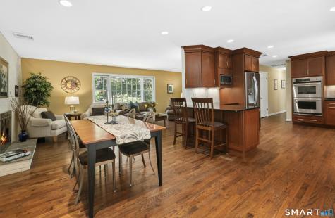 6 Webster Place Newtown CT 06470