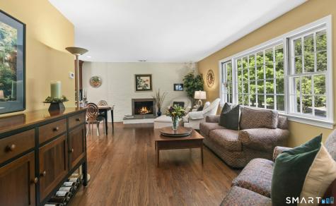 6 Webster Place Newtown CT 06470