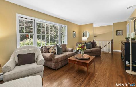 6 Webster Place Newtown CT 06470