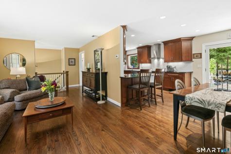 6 Webster Place Newtown CT 06470