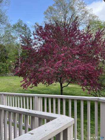 934 Jeremy Swamp Road Southbury CT 06488