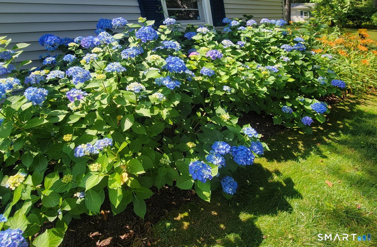7 Old Forge Road North Haven CT 06473