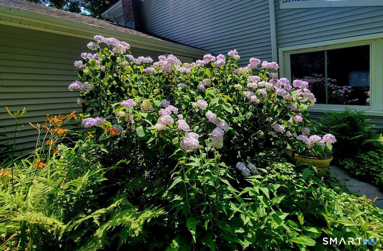 7 Old Forge Road North Haven CT 06473