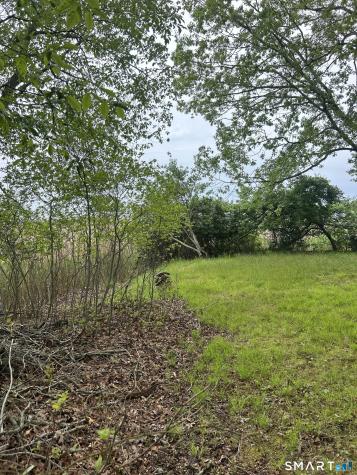 55 Woodland Drive Old Saybrook CT 06475