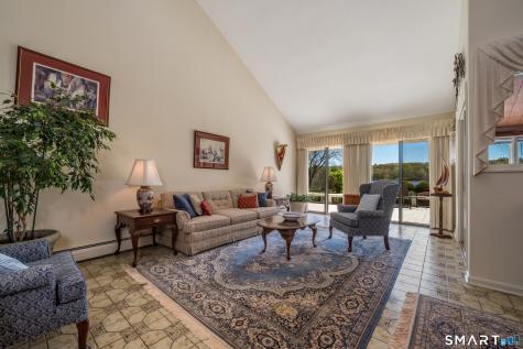 45 Falls River Drive Essex CT 06442
