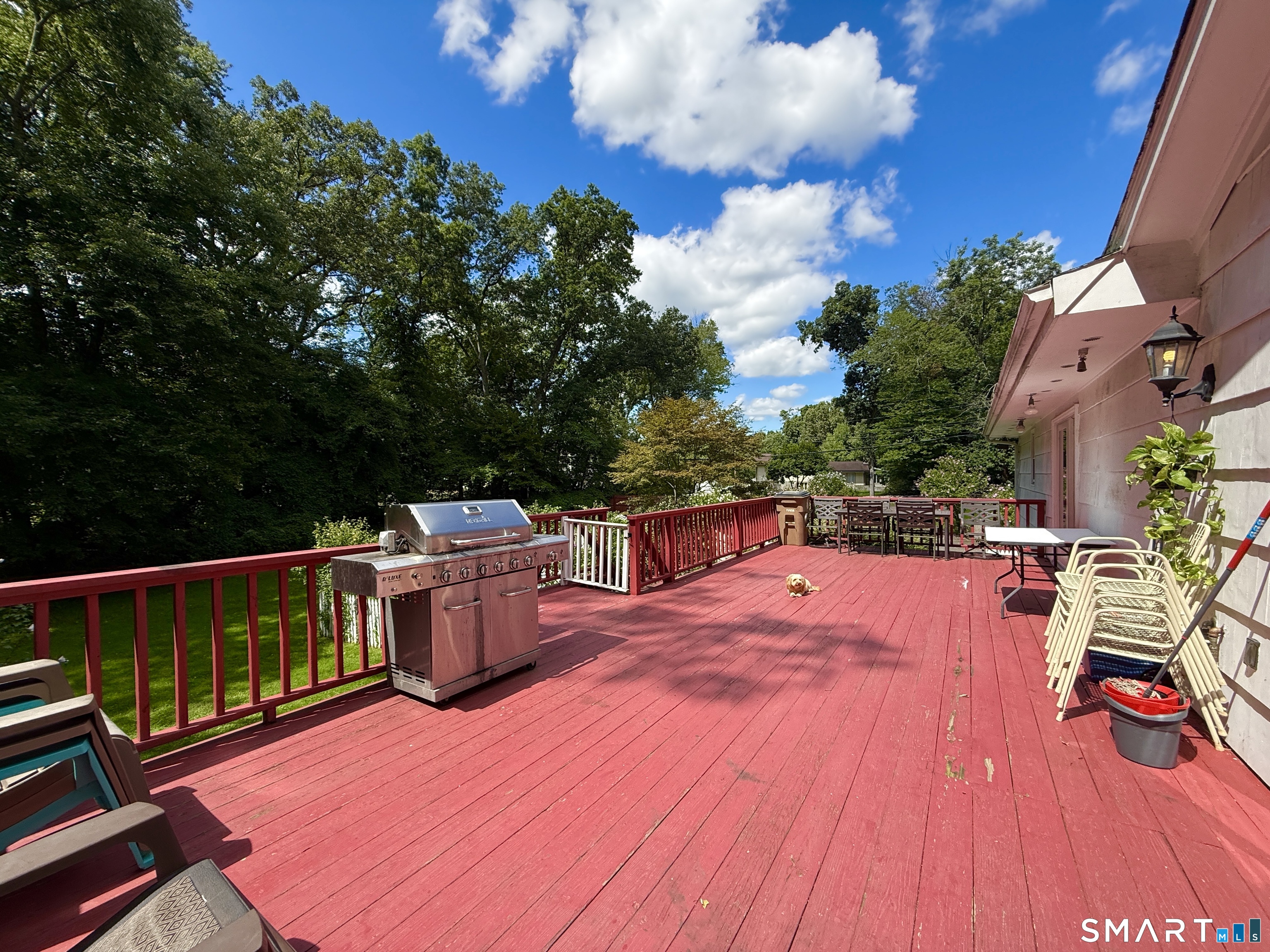 11 Joan Road Stamford CT 06905