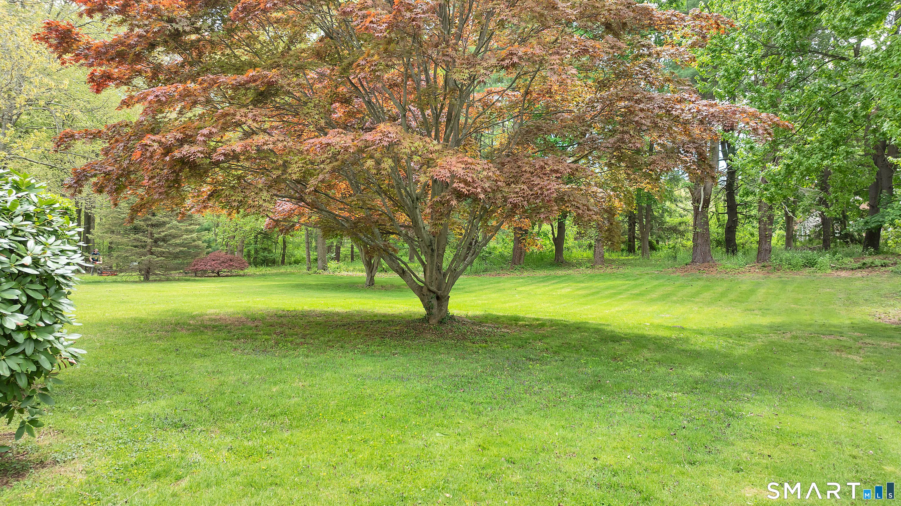 240 Cedarhurst Lane Milford CT 06461