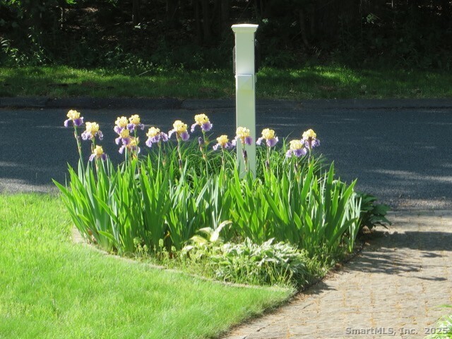 52 Wood Creek Road Burlington CT 06013