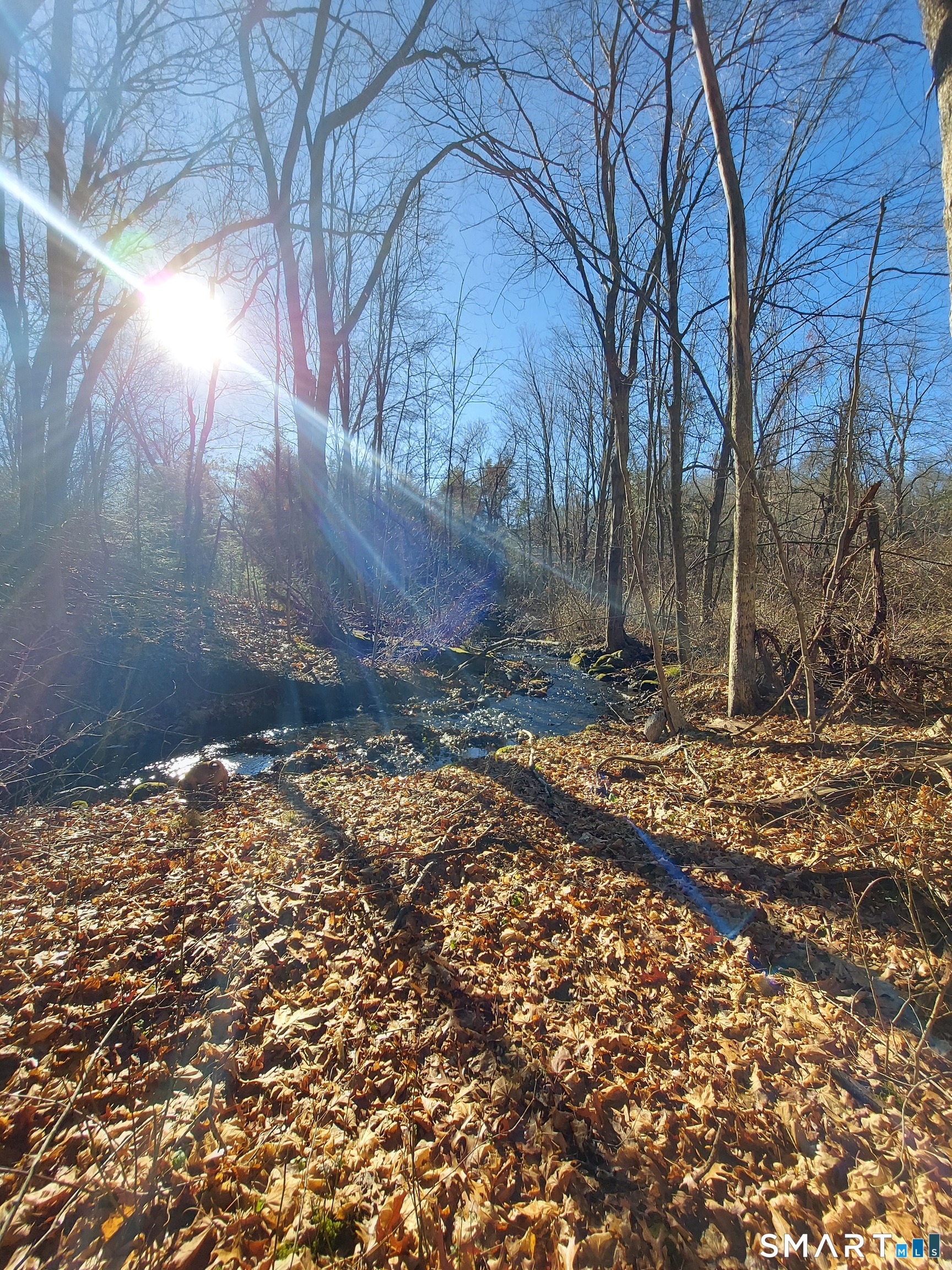 199 Turkey Hills Road East Granby CT 06026