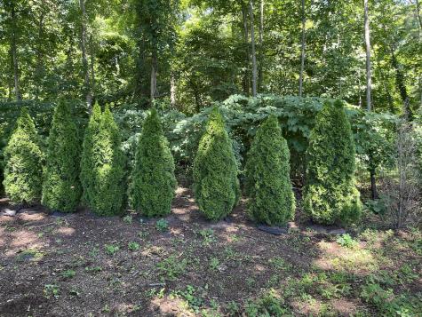 31 Forest Street East Haven CT 06512