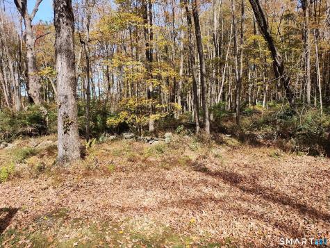 24 Sumner Hill Road Eastford CT 06242