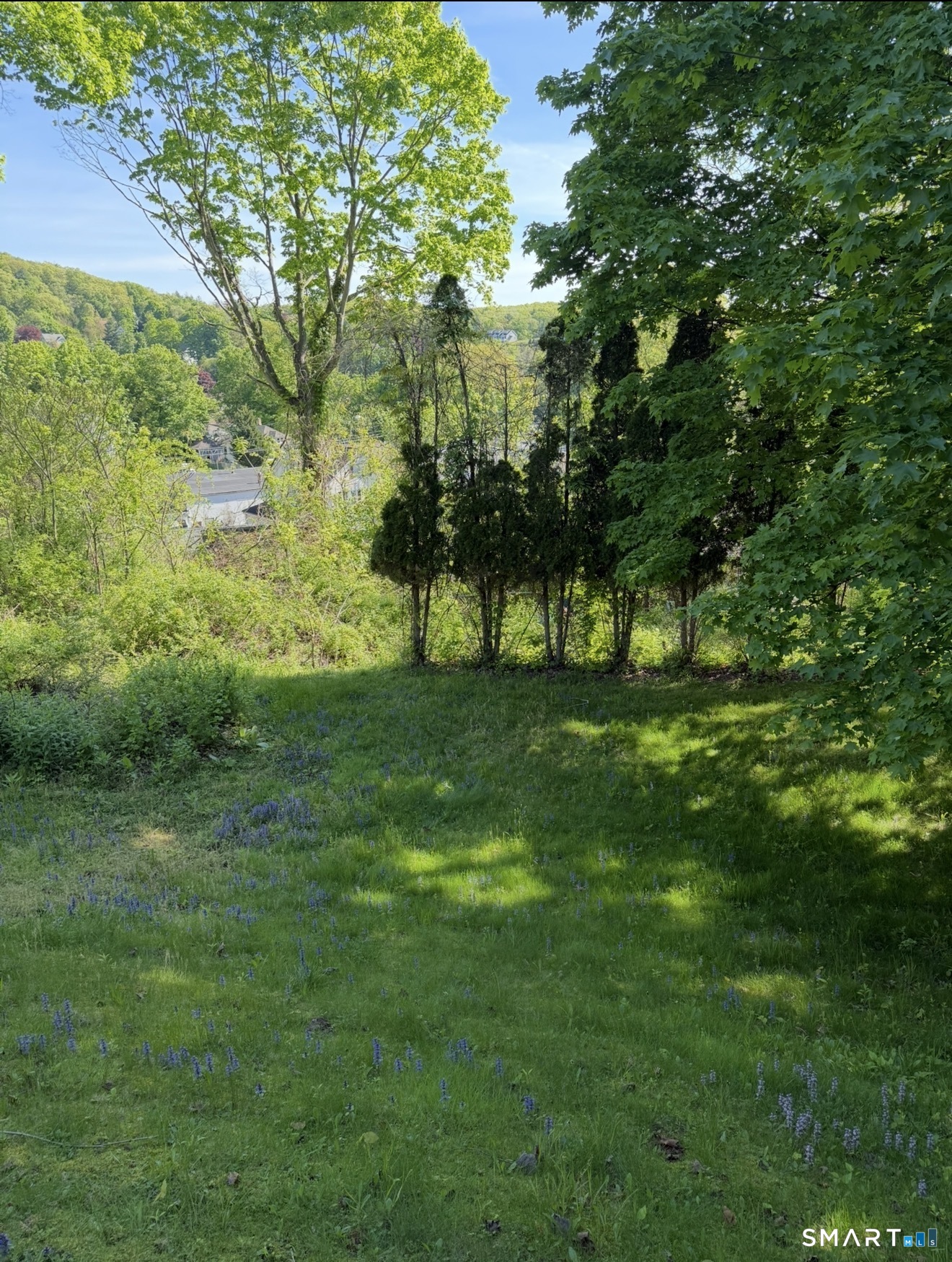 46 Knorr Avenue Seymour CT 06483