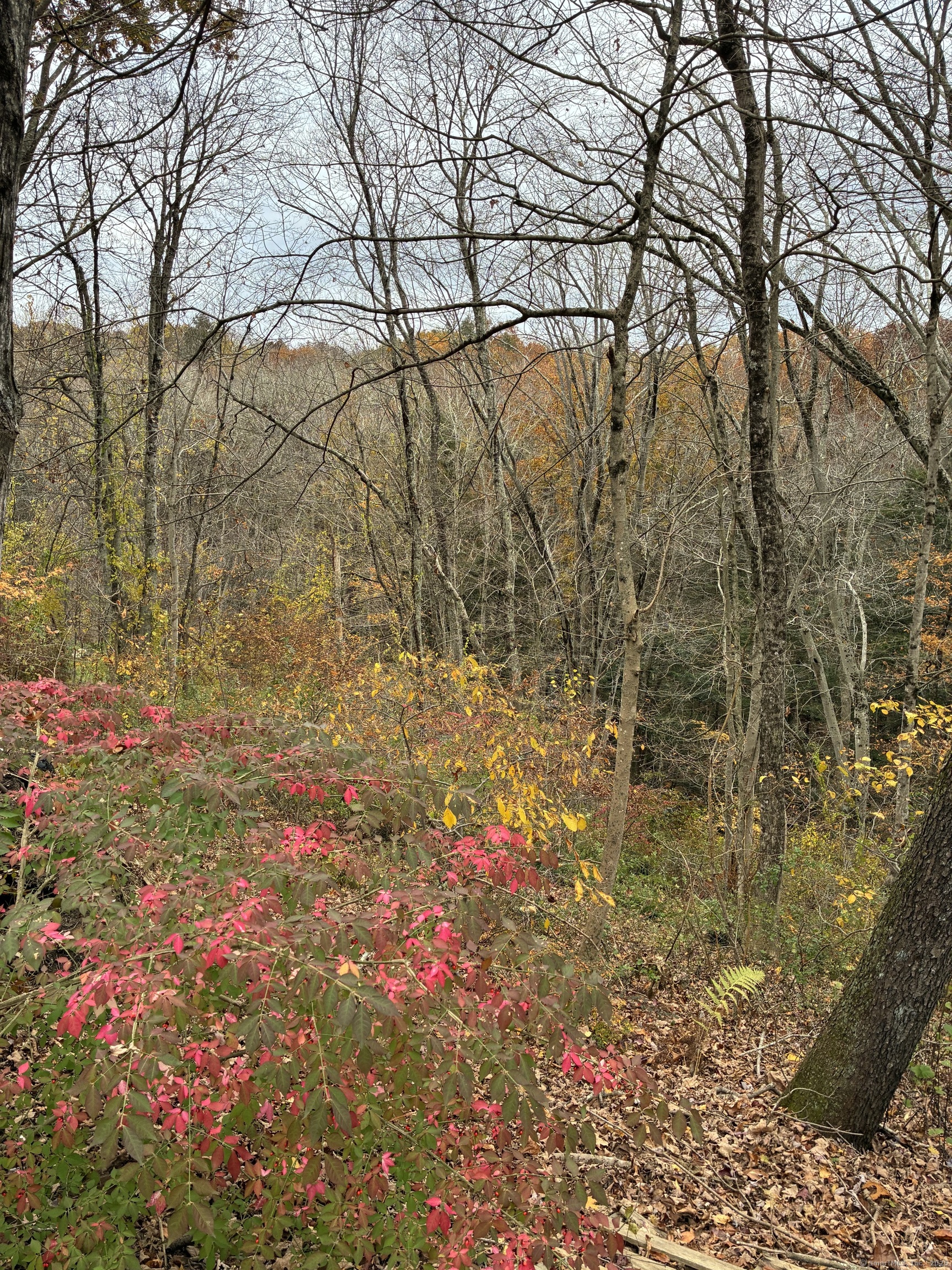 202 Cemetery Road Canterbury CT 06331