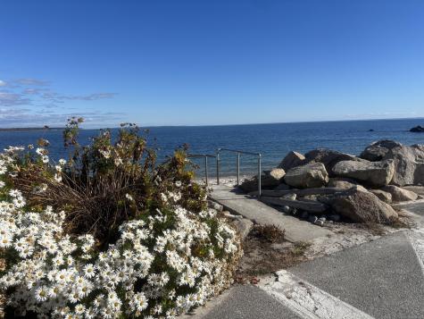 43 Attawan Avenue East Lyme CT 06357