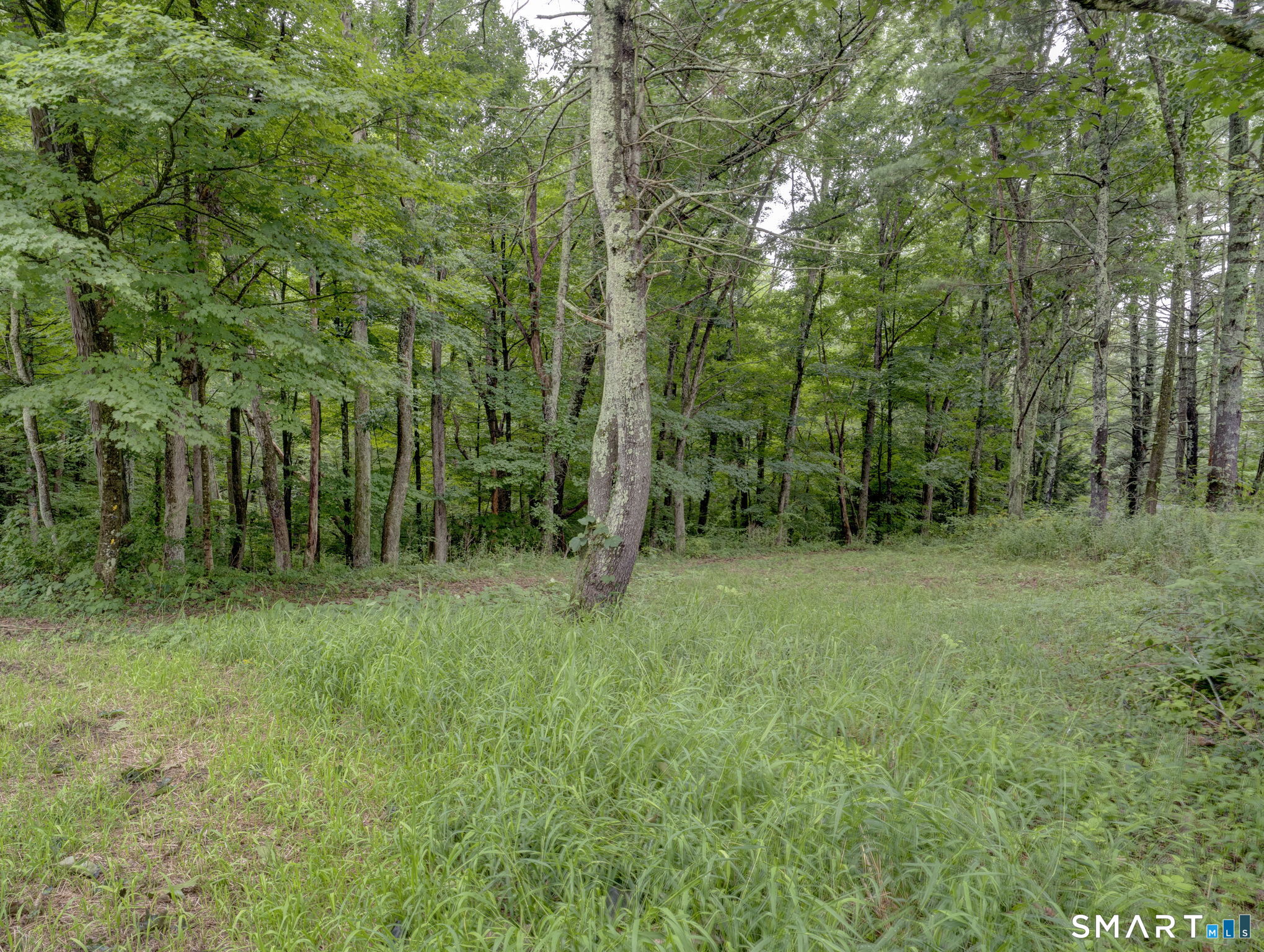 307 Mansfield Road Ashford CT 06278