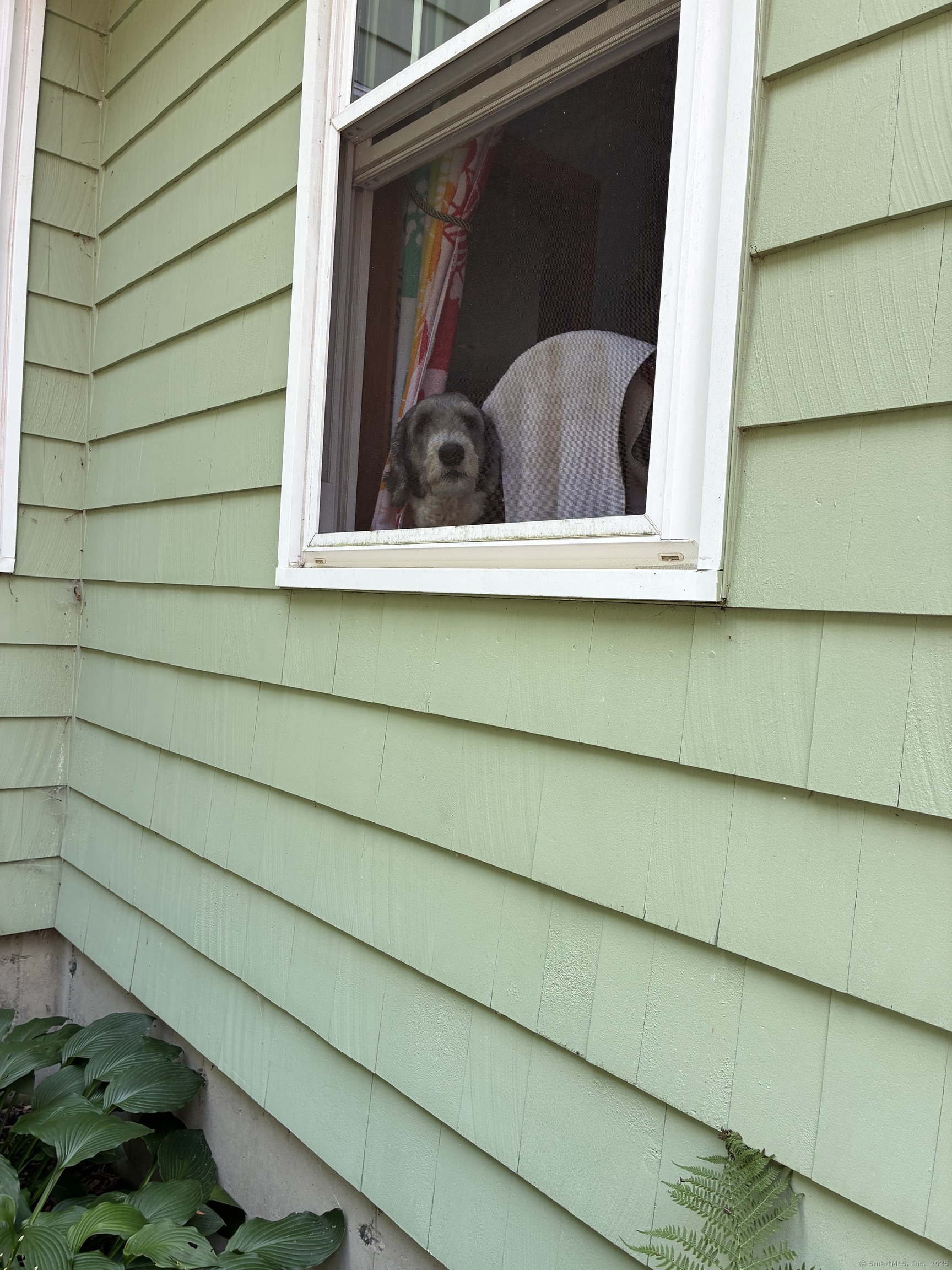 186 Mill Street Hartland CT 06065