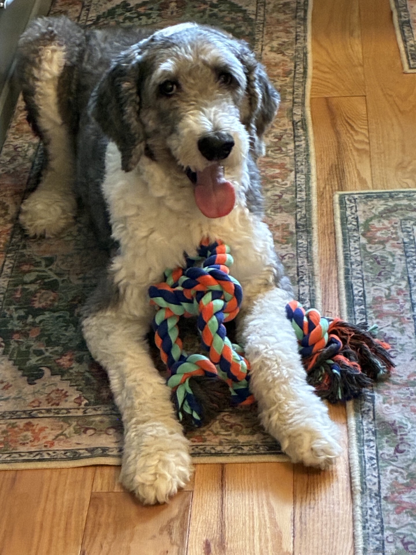 186 Mill Street Hartland CT 06065