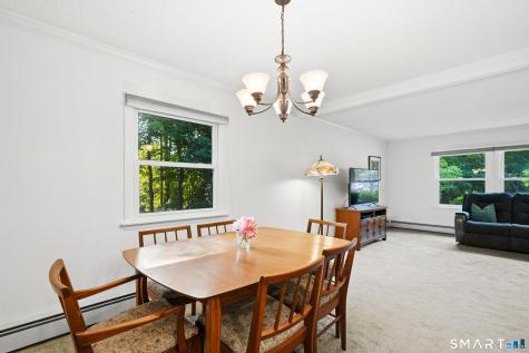 28 Meetinghouse Terrace New Milford CT 06776