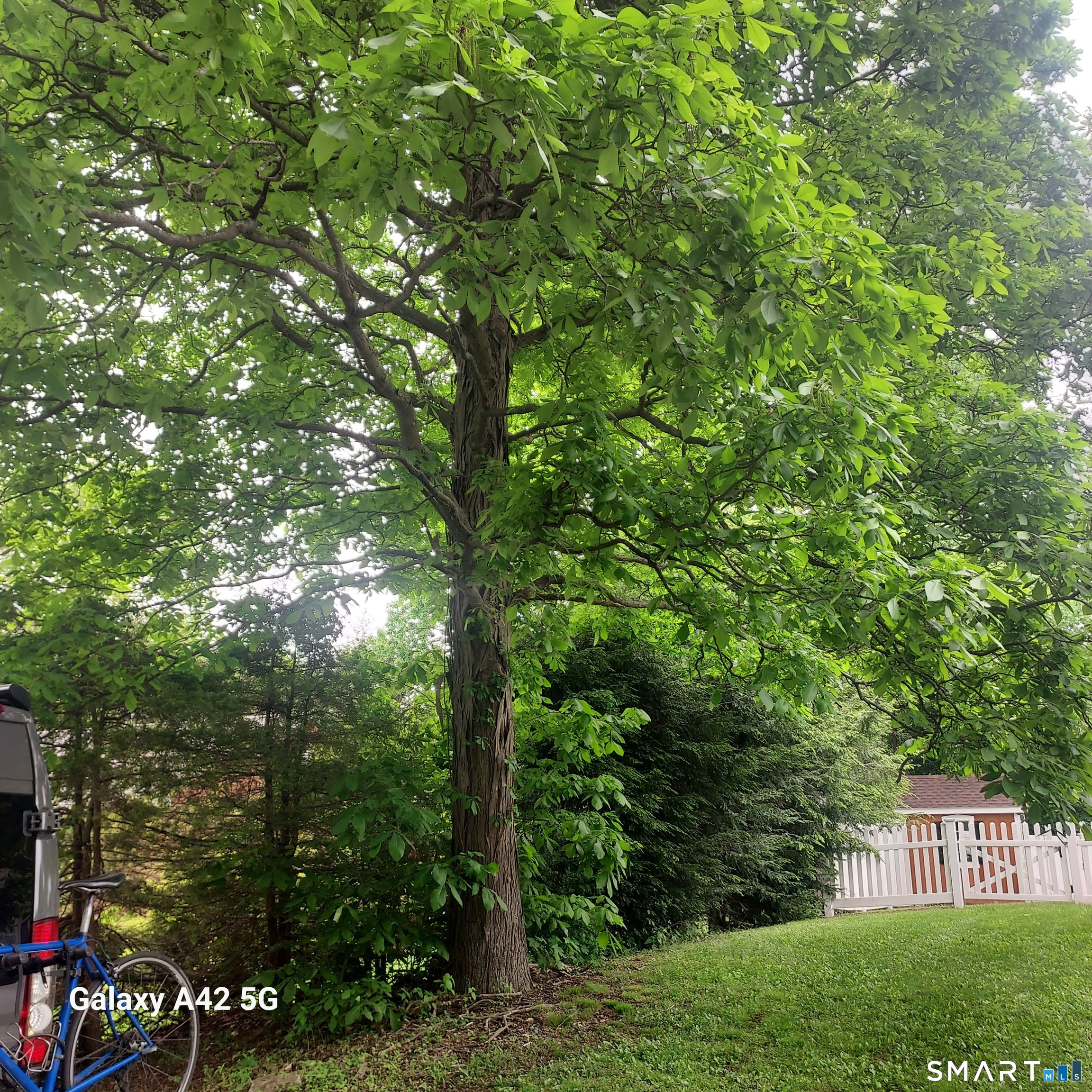 111 Boston Street Torrington CT 06790