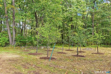 540 Clubhouse Road Lebanon CT 06249