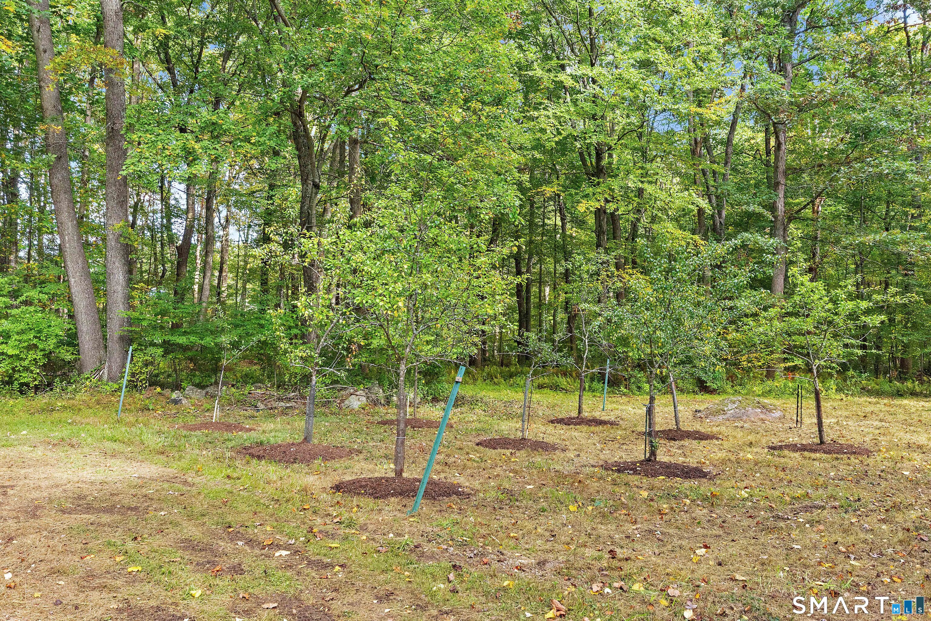 540 Clubhouse Road Lebanon CT 06249