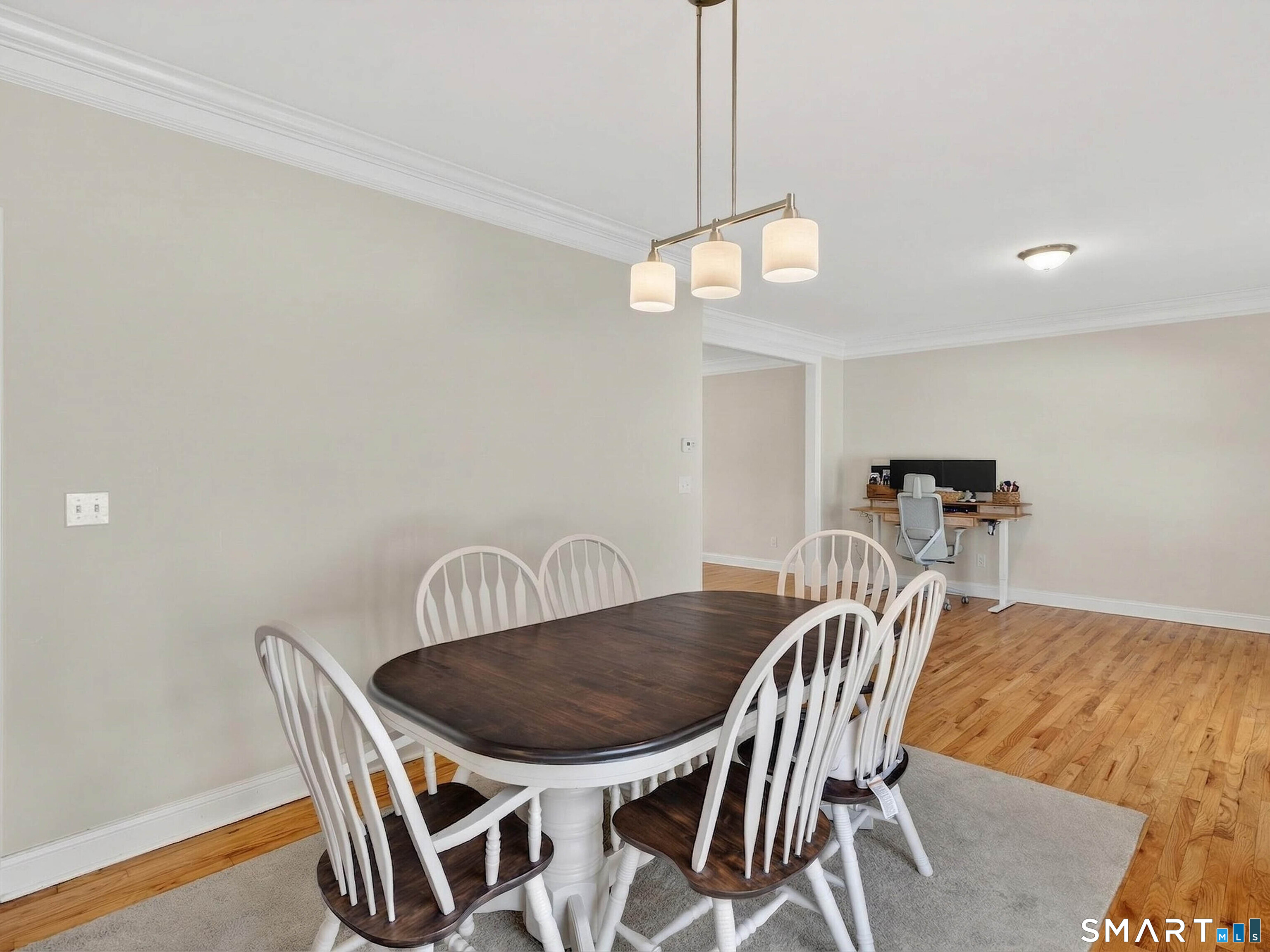 6 Constance Street New Haven CT 06512