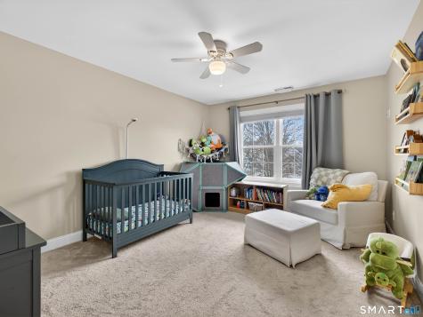 6 Constance Street New Haven CT 06512