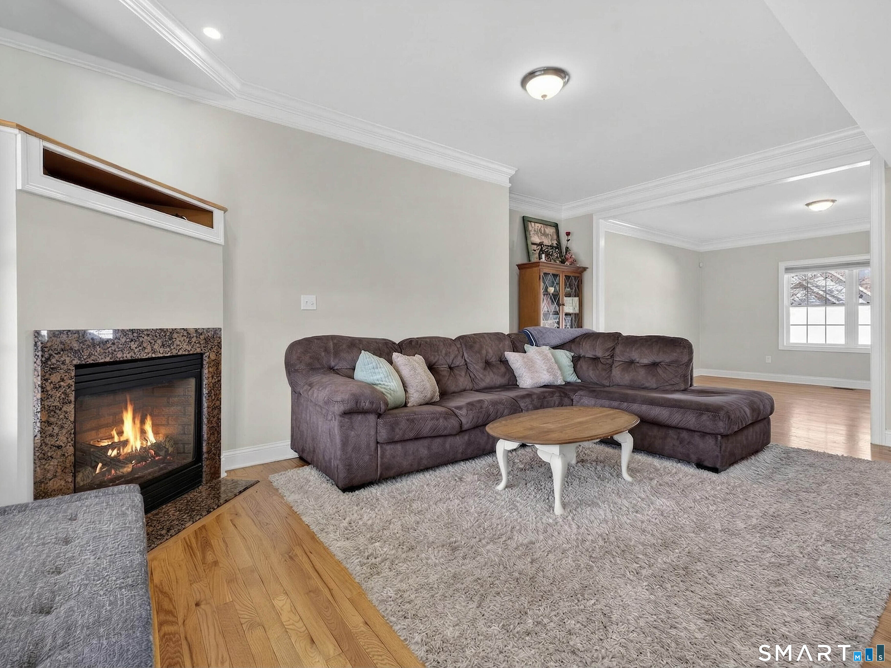 6 Constance Street New Haven CT 06512