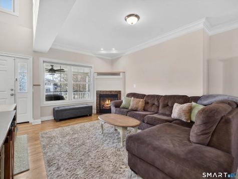 6 Constance Street New Haven CT 06512