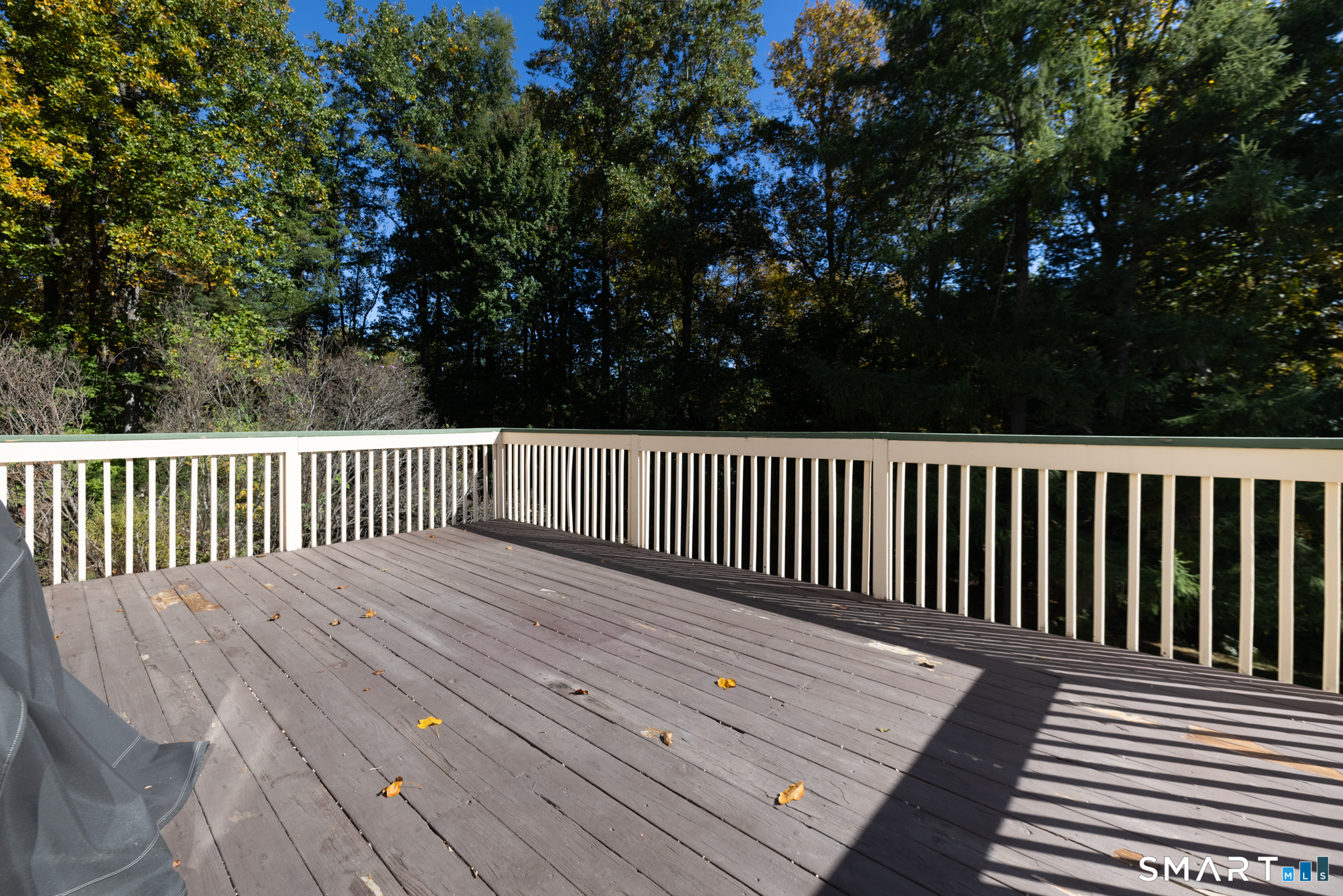 106 Mirey Dam Road Middlebury CT 06762