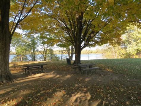 18 Avalon Place Wethersfield CT 06109